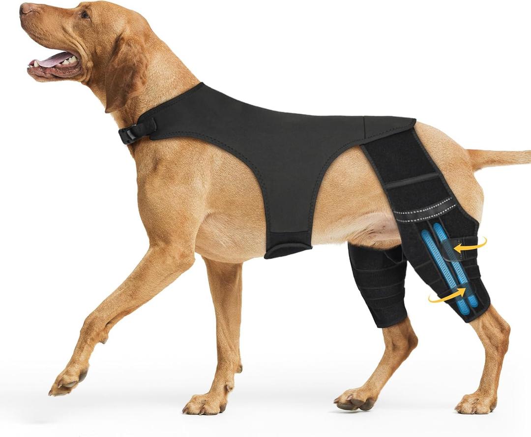 Dog Knee Brace for Acl Hind Leg, Dog Leg Braces for Back Leg, Adjustable Hip Support to Reduces Pain