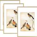 8x12 Picture Frame Set of 3, Brass Aluminum Metal Photo Frames with HD Glass, Fits 6x8 with Mat or 8 x 12 without Mat, Display for Wall