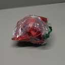 Heinz Ketchup Packet Kids Costume