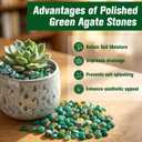 Halatool 2.2LB Natural Green Agate Stones for Aquarium Gravel & Fish Tank 0.35-0.6 Inch Decorative Pebbles for Succulent Rocks DIY Landscaping Indoor Plants Vase Fillers