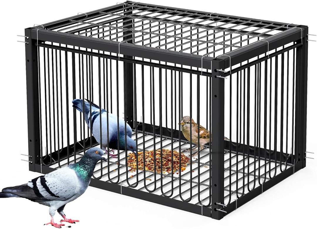 Pigeon Trap Cage Bird Traps for Small Birds with One-Way Entry Trapping for Quail Chicks Doves Feral Cat Pigeon Coop