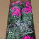 Hananona Artificial Geranium Flowers for Outdoors Geranium Silk Flowers Outdoor UV Resistant Garden Plants Faux Flowers for Home Kitchen Table Centerpieces Decor (12, Rose Red)