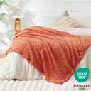 EXQ Home Fleece Throw Blanket for Couch or Bed - 3D Waffle Patchwork Pattern Jacquard Decorative Blankets - Cozy Soft Fuzzy Flannel Blanket Suitable for All Seasons(50"60",Terracotta)