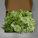 Hydrangea Artificial Flowers, 20 Pcs Green Hydrangea Artificial Flowers Bulk, Faux Hydrangea Flowers for Outdoor, Fake Silk Hydrangea Flowers with Stems for Wedding Decoration Decor