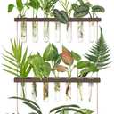 Mkono Plant Propagation Tubes, 3 Tiered Wall Hanging Terrarium with Wooden Stand & 21 Test Tube Vases for Hydroponic Plant Cutting & Home/Office Decor (Large, Brown)