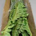 FOREST PRINCE 45" Fake Ferns, Realistic Large Artificial Bush Plants, 2 Artificial Boston Ferns with 59 Fronds for Outdoors Planter Indoor Home Garden Porch Decor