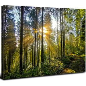 Sunrise Forest Canvas Wall Art Nature Mountain Wall Decor for Living Room Sunset Tree Trails Scenery Painting Decor 24x36, Natural Woods Mountains Landscape Poster Artwork Home Office Decorations