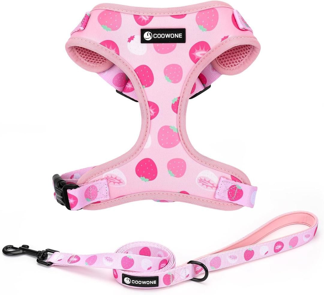 Dog Harness and Leash Set, Adjustable Dog Harness, Dog Leash, No Pull No Choke Puppy Harnesses for Walking Training for Small Medium Pet (Strawberries, M(Chest 15.7-22.1", Neck 12-15"))
