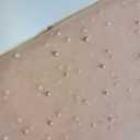 Nude Pearl Lace Fabric Bridal Veil Wedding Decoration
60x120Inc