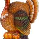 winemana Thanksgiving Table Decorations Resin Turkey with Pumpkin, Hand-Painted Fall Figurine Centerpiece for Home Kitchen Office Harvest Day Decor