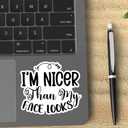 6 x (3PCS) I'm Nicer Than My face Looks Sticker. Funny Inspired, Inspirational Motivational Gifts, Waterproof Vinyl Decal for Water Bottles, Laptops, Phones, Tumblers, Size 2,8 x 3 Inch