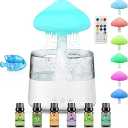 Rainfall Humidifier, 6 Essential Oils and 1 Water Tank Filter, Mushroom Model, Night Light, Water Drip Sounds, for Small Rooms