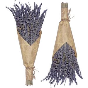 Cedar Space Lavender Dried Flowers 2 Bunches Dried Lavender Ideal Home Fragrance Products for Home Decorations, Wedding, Party, Photography & Flower Arrangements, Total Length 16 Inches