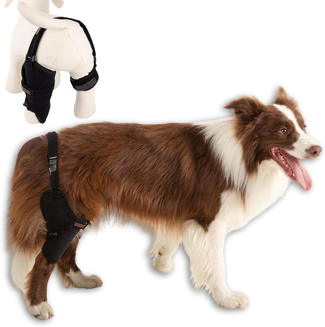 Dog Knee Brace for Male/Female Dogs - Neoprene Support Dog Leg Braces for Back Leg with Adjustable Straps and Belt - Torn ACL Hind Leg, Ligament Injury, Joint Pain and Stability (Large, Right)