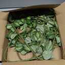 HyeFlora 5PCS Artificial Eucalyptus Leaves Stem Plants for Spring Decor, 32.7 inch Fake Leaves Greenery Branches Green Shrubs Silk Faux Foliage DIY Stems for Festival Home Kitchen Farmhouse(Green)