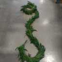 140 inch Afloral Real Touch Norfolk Pine Wreath 