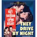 They Drive by Night [Blu-ray]