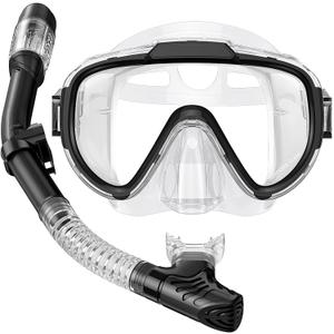 Snorkel Set Adults Snorkeling Gear Anti-Fog Panoramic View Swim Mask Dry Top Snorkel Kit with Carry Bag for Snorkeling Scuba Diving Swimming Travel (Transparent+Black)