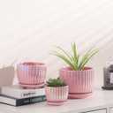 Ton Sin Pink Gold Ceramic Flower Pots, 4"+5"+6" Inch Small Glazed Succulent Planters with Drainage Hole,Modern Indoor Decorative Plant Pots Set of 3,Garden Pots with Saucer