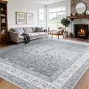 Amada 8x10 Washable Area Rug for Living Room, Silver/Gray, Vintage Pattern OEKO-TEX STANDARD 100