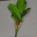 3PCS Artificial Tropical Green Plants  15.75" Fake Hostas Outdoor Artificial Plants, UV Resistant, Faux Green Leaf Stems for Porch, Patio, Balcony, Garden Planter or Indoor Dcor