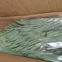 7ft Tall Triple Golden Cane Palm Artificial Tree Large Tropical Palm Tree UV Resistant Fake Plant in Pot for Indoor Outdoor Big House Living Room Outside Patio Office Home Decor 2Pack