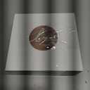 Ling's moment Boutonniere for Men, 6pcs Groom Groomsmen Boutonniere, Artificial Flowers for Wedding Decor/Prom/Homecoming, etc.Blush Pink Coral