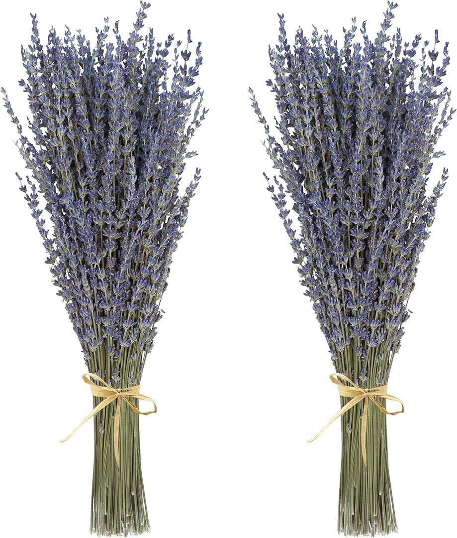 Dried Lavender 2 Bunches 100% Fresh Natural Purple Bouquet Flowers for Bathroom Photo Props Crafts Decoration, 15-17" for Shower Weeding Vase Decor, Home Fragrance(200-220 Stems(100g/3.5oz Total))