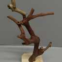 Balacoo Wooden Parrot Perch Stand with Stable Base Multi-Functional Bird Training Rack Toy for Parrots Durable Non-Slip Grip for Training and Play