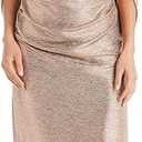 R&M Richards Women's Aurelia Metallic Gown, 14W