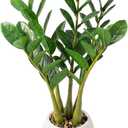TentoWhan2Packs Faux Plants Indoor 18.9" Artificial ZZ Plants in White Pot Fake Potted Zamioculcas Silk Faux Plants for Home Table Decor Bedroom Aesthetic