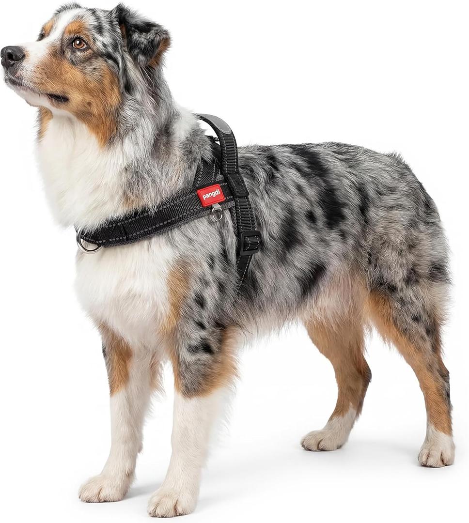 No Pull Dog Harness with Handle, Corgi Adjustable Reflective Dog Vest, Breathable Air Mesh Padded Pet Harness with Front Leash Clip for Small Medium Dogs, Black, Medium