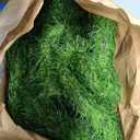 Realistic Artificial Grass Rug Indoor Outdoor: Fake Grass Turf with Drainage Holes, Pet-Friendly Dog Grass Mat, Perfect for Garden Lawn Balcony Patio Backyard Wedding Christmas Decoration, 3FT x5FT