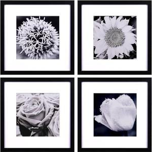 Yaetm 12x12 Picture Frames Black Set of 4, Square Frame Displays 8x8 with Mat or 12 x 12 without Mat, Gallery Wall Frames 12x12 for Wall Mounted (4 Pack, Black) (12"x12", 4 pack)