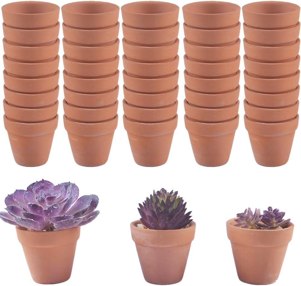 NWFashion 100pcs 1inch Terracotta Pot Clay Ceramic Pottery Planter Flower Pots with Drainage Holes for Indoor Outdoor Plants DIY Craft