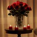 Pack of 12 Flameless LED Tealights Candle, Battery Operated LED Tealights Candles for Party,Events,Wedding use (Red), S1012R