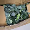 DearHouse Faux Eucalyptus Garland Plant, 2 Pack Artificial Vines Hanging Eucalyptus Leaves Greenery Garland for Wedding Backdrop Arch Wall Decor, 6 Feet/pcs UV Protected Indoor Outdoor