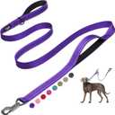 Fida 6 FT Heavy Duty Dog Leash with 2 Comfortable Padded Handles, Traffic Handle & Advanced Easy Snap Hook, Reflective Walking Lead for Large, Medium & Small Breed Dogs, Purple (6 Feet (Pack of 1))