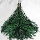 Real Eucalyptus Stems - 15-25 PCS, 17'' 8OZ Preserved Fresh Eucalyptus Plant Live Green Leaves, Dry Branches Greenery Bundle for Wedding, Home Decor (Large)