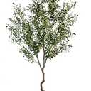 AfanD Artificial Tree Faux Olive Tree 8ft (92in, 3200 leaves) Tall Fake Olive Plant in Pot Fake Silk Tree Faux Plants Indoor