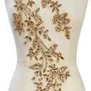 SaEyz Handmade Shining Acrylic Rhinestones on lace Applique Sequins Trimming Patches for Dress Clothing Accessories 4.3X23.6in (Champagne)