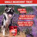 Stella & Chewy's Freeze-Dried Raw Chicken Heart Dog Treats - Single Ingredient, No Additives - Premium Training Treats - Perfect For Picky Eaters - 11oz Bag (11.5 Ounce (Pack of 1))