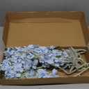 IPOPU 33.5 in Fake Flowers Delphinium Artificial Flowers Silk Flowers 6 PCS Light Blue Larkspur Artificial Flowers Long Stem Flowers for Tall Vase Home Wedding Party Decor (Light Blue)