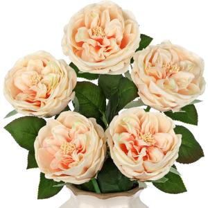 5Pcs Peonies Artificial Flowers Real Touch Austin Roses 23.6 Inch Long Stem Fake Flowers for Decoration Latex Rose Peony for Vase Wedding Valentines Day Party Arrangement Home Decor - Light Champagne
