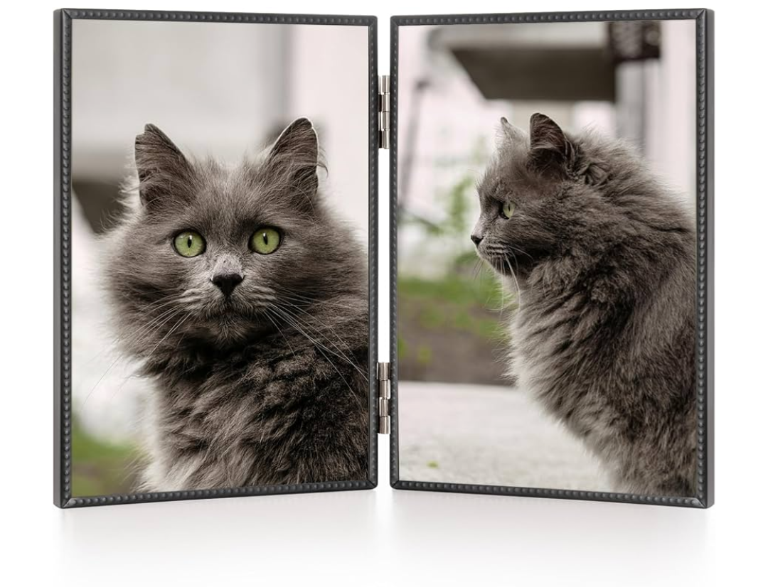 3.5x5 Double Hinged Metal Picture Frame with HD-Tempered Glass, Thin Edge Photo Frames with Delicate Beading Decoration and Soft Velvet Backing for Tabletop and Wall Mount Display, Black