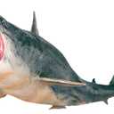 EOIVSH Large Shark Toys Megalodon, Plastic Assorted Ocean Animal Shark Figurine Realistic Sea Creature Toy Figure for Collection Gift, Bath Toy, Cake Topper