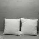 20x20 Pillow Inserts Set of 2, Stuffing Pillow for Couch Decorative Pillows Breathable, Throw Bedding Throw Pillows Insert Soft and Comfy, Throw Pillow Inserts for Sofa Bed 2025 (19.6 in 2pcs)