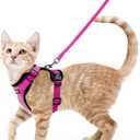 rabbitgoo Cat Harness and Leash for Walking, Escape Proof Soft Adjustable Vest Harnesses for Cats, Easy Control Breathable Reflective Strips Jacket, Rose Red, XS