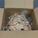 2 Pcs Rattan Lamp Shades Cover 5.5" Top x 10" Bottom x 6.6" High