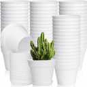 60 June Fox 60 Pack Small Plant Pots Indoor 4 Inch Plastic Planter with Drainage Holes and Saucers Premium Decorative White Plant Pot for Succulent, African Violets, Flowers, Plants